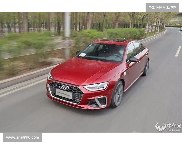 RS中网+MIB 3 运动科技双升级 奥迪A4L中期改款上市 RS中网+MIB 3 运动科技双升级 奥迪A4L中期改款上市