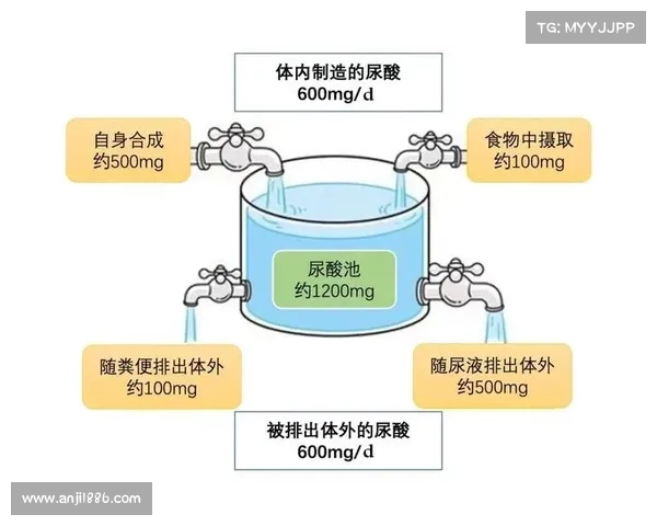 中科院研究发现:尿酸高光吃药可不行,坚持做7点,可以轻松应对 中科院研究发现:尿酸高光吃药可不行,坚持做7点,可以轻松应对