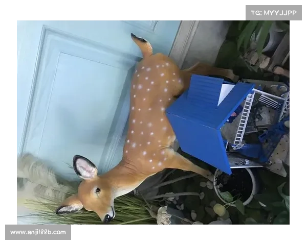 假期归来,鞋子给大家安排上,款式超多,而且大公鸡出新款啦 假期归来,鞋子给大家安排上,款式超多,而且大公鸡出新款啦