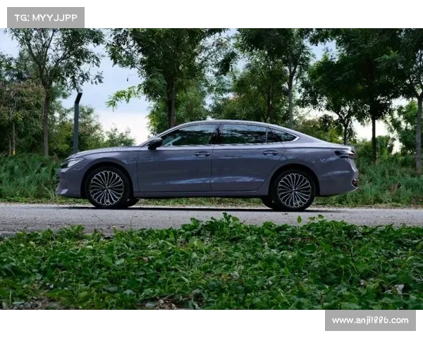 全新一代帕萨特重磅来袭，长4933mm堪比C级，尽显王者风范